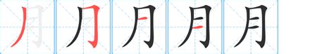 月字部首的字|部首為月的字